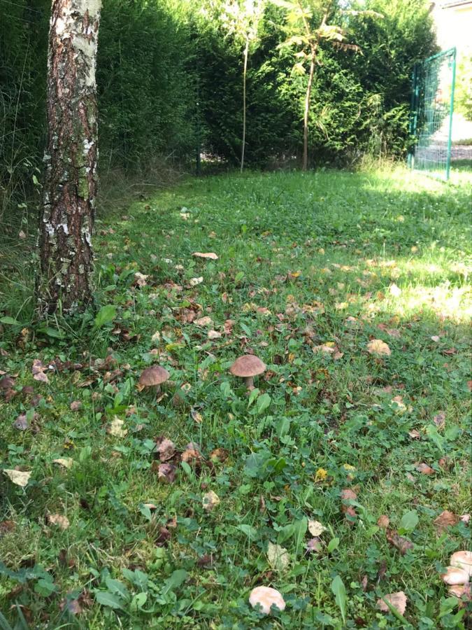 Domki Nad Stawem. Polańczyk Kültér fotó